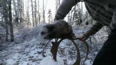 I think it would be
disrespectful to use - Life Below Zero: Next Generation