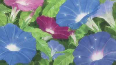 I think Yamada-San could easily
get into seigyoku university. - Kase-san and Morning Glories