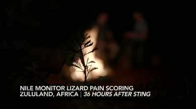 I think you were more nervous
when that thing bit you - Kings of Pain