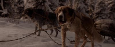 I think
your dog is broken. - The Call of the Wild