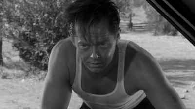 I think you're yellow belly. - The Sadist