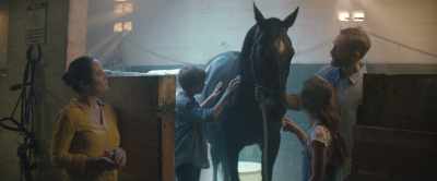 I was thinking Jackie, after the old one.
What do you think, guys? - Black Beauty