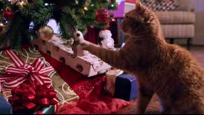 - I was thinking more
about the future. - Christmas Everlasting