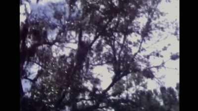 I thought a plane door
was on me - If I Leave Here Tomorrow: A Film About Lynyrd Skynyrd