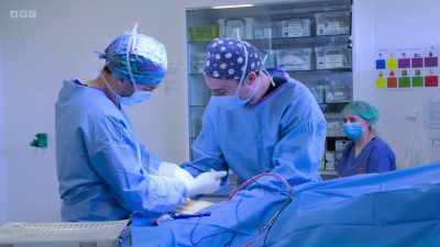 I thought, earlier, I could
feel the head. - 24/7 Pet Hospital