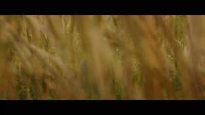 I thought he was out of his mind. - Kong: Skull Island
