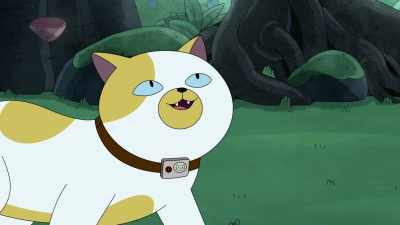 I thought I needed Fionna, - Adventure Time: Fionna & Cake