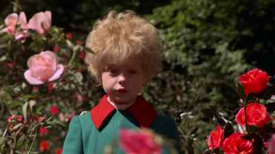 I thought I was rich. - The Little Prince