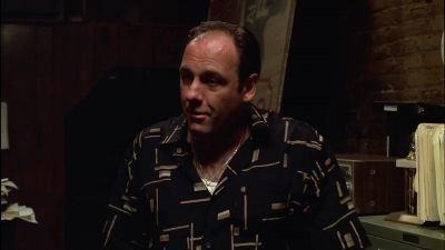 I thought I was the only one junior could make look like that - The Sopranos