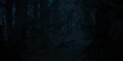 I thought I'd finally
lost my mind. - The Watchers