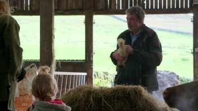 I thought I'd just
stroke it a while. - Our Yorkshire Farm