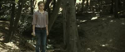 I thought it had stopped. - Harry Potter and the Deathly Hallows: Part 1
