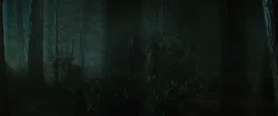I thought perhaps you weren't coming. - Harry Potter and the Goblet of Fire