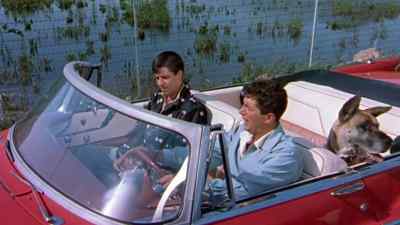 I thought you put gas
in the car. - Hollywood or Bust