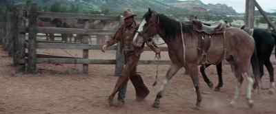 I thought you said
you'd be right back? - The Rounders