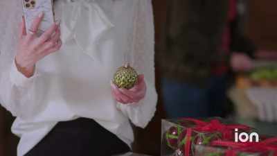 I thought you should
at least have a look at them - Dognapped: A Hound for the Holidays