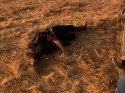 I had thought that the had lost, 
sweetheart. - Cheyenne Warrior