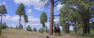 I thought it would
end like this. - Run for the High Country