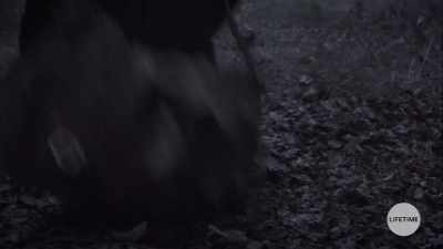 - I thought you were conjuring
the voices, - The Watcher in the Woods