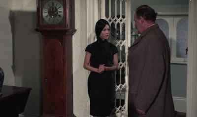 I thought you were in Ireland, sir,
with the master? - The Vengeance of Fu Manchu