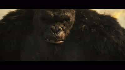 I thought you said you were a hacker! - Godzilla vs  Kong