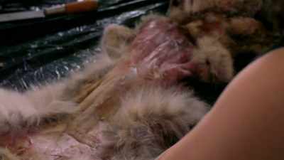 I had to pause
there for a moment, - Life Below Zero: Next Generation