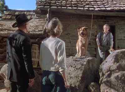 I told you afore
you ain't wanted here. - The Shepherd of the Hills