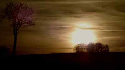 I told you he was ill. - Wallander