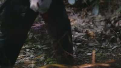 I told my men that
this was our last chance. - Missing: The Lucie Blackman Case