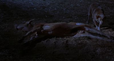 I told  World of Mystery - Mysterious Skin