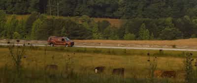 I told you it was going to overheat. - Identity Thief