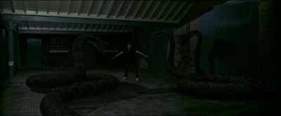 I told you to run
and never look back. - Snake Hotel