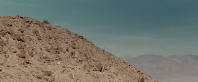 I told you so! - Into the Wild