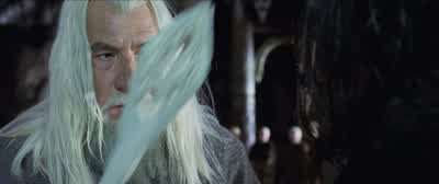His staffI told you to take the wizard's staff - The Lord of the Rings: The Two Towers