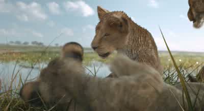 I told you to wait for me. - Mufasa: The Lion King