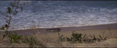 I told you it wasn't a shark - Long Weekend
