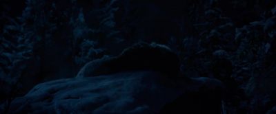 Tonight, - The Call of the Wild