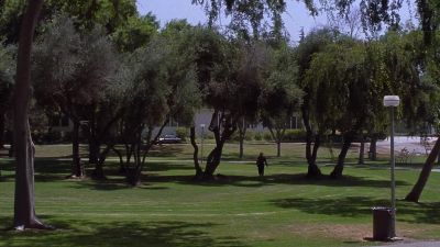 I took a shortcut through Hawkins Park - Secretary