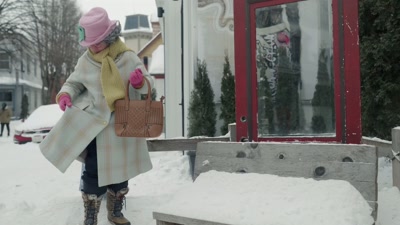 I took the liberty of
adding a tracking device - Snow Day