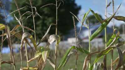 I totally understood
where she was coming from. - Buried In The Backyard