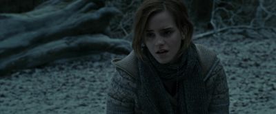 I tried to mend it - Harry Potter and the Deathly Hallows: Part 1