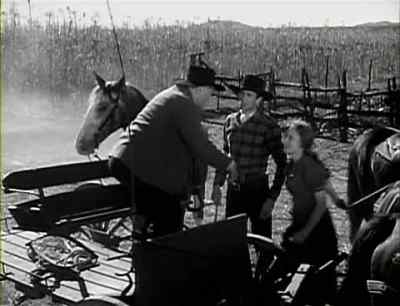 I tried to stop them.
They wouldn't listen to me. - The Westerner