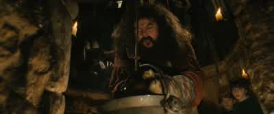 I trust by now you realize what it does. - Harry Potter and the Philosopher's Stone