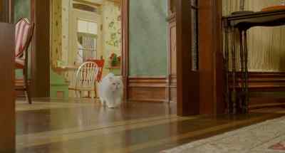 I try to eat right and yet I still feel bloated. - Stuart Little 2