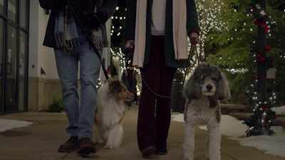 I try to go
every month or two, - Tails of Christmas