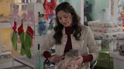 I try to take him
home as much as I can, - Tails of Christmas