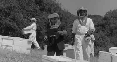 I try to take my inspiration from the bees - The Wasp Woman