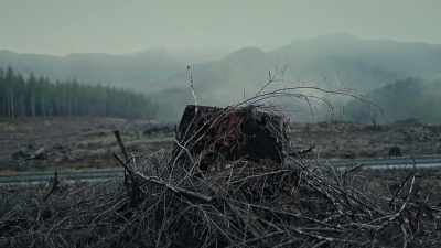 I was trying to
rationalize stuff, you know. - Lost Women of Highway 20