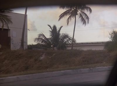 [Tubbs]
That's him.
He fits Blatt's description. - Miami Vice