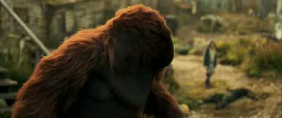 I understand... - War for the Planet of the Apes